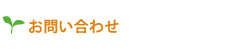 䤤碌